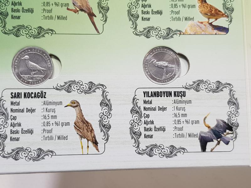 2020 ANADOLU'YA ÖZGÜ KUŞLAR HATIRA PARA SETİ