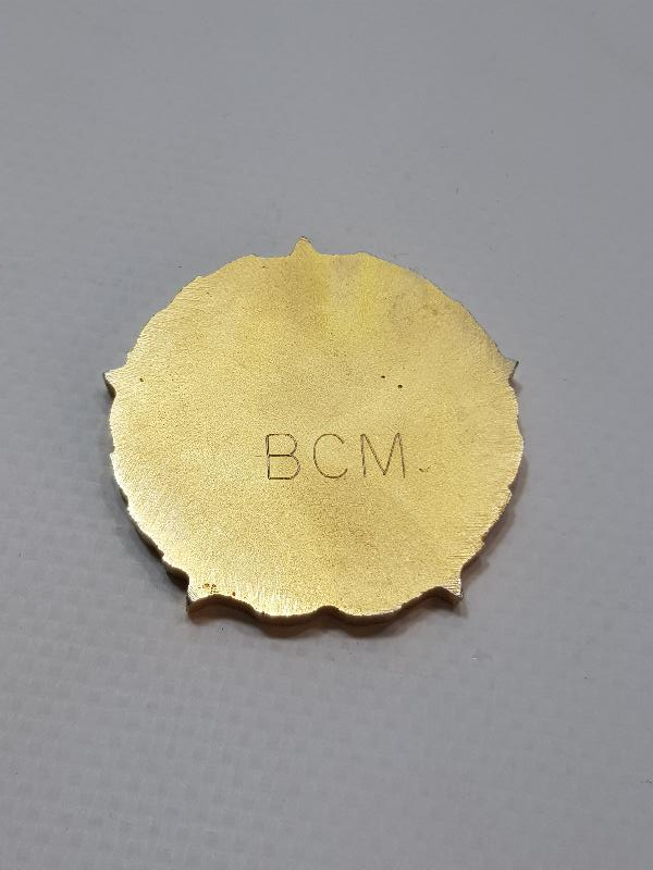 ALTIN KAPLAMA HAVACILIK MADALYASI 