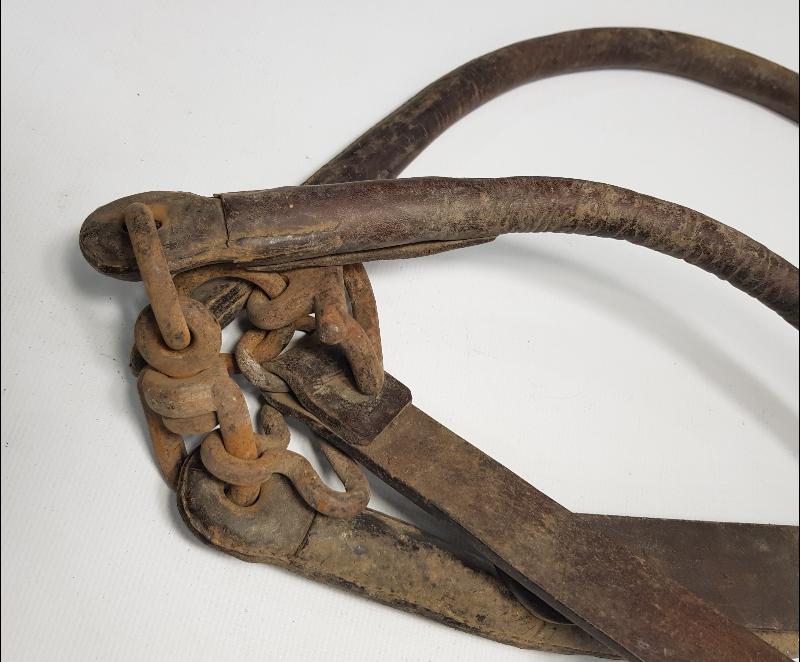 ÇANAKKALE SAVAŞI: 1915 TARİHLİ AT KOŞUM TAKIMI