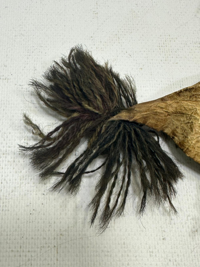 OSMANLI DÖNEMİ BEKTAŞİ TEKKESİ SULUK