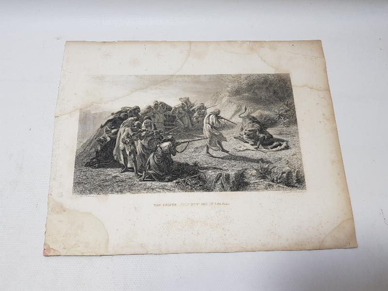 OSMANLI DÖNEMİ GRAVÜR: ASLAN AVI