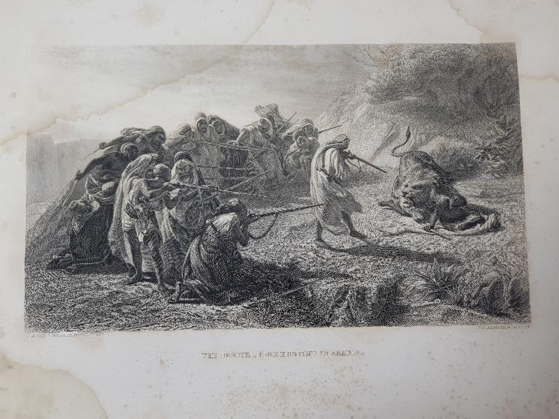 OSMANLI DÖNEMİ GRAVÜR: ASLAN AVI