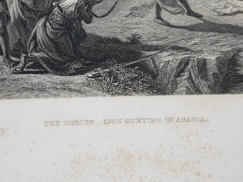 OSMANLI DÖNEMİ GRAVÜR: ASLAN AVI