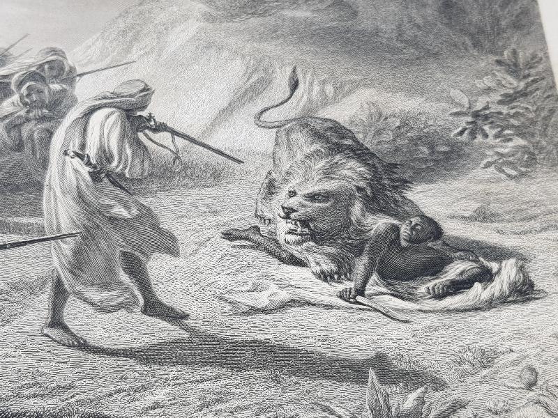 OSMANLI DÖNEMİ GRAVÜR: ASLAN AVI