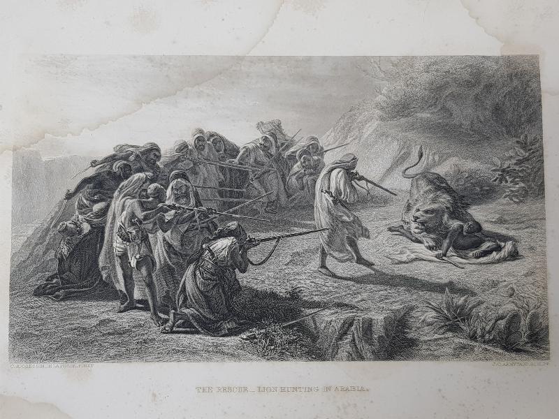 OSMANLI DÖNEMİ GRAVÜR: ASLAN AVI