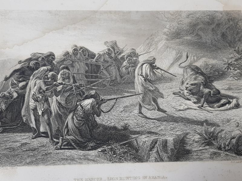 OSMANLI DÖNEMİ GRAVÜR: ASLAN AVI