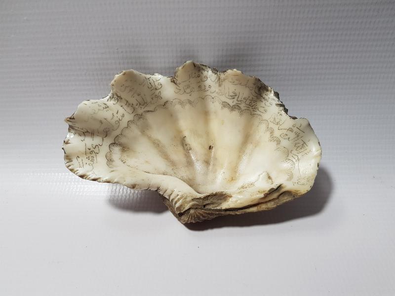 OSMANLI DÖNEMİ TILSIMLI DENİZ KABUĞU ŞİFA TASI