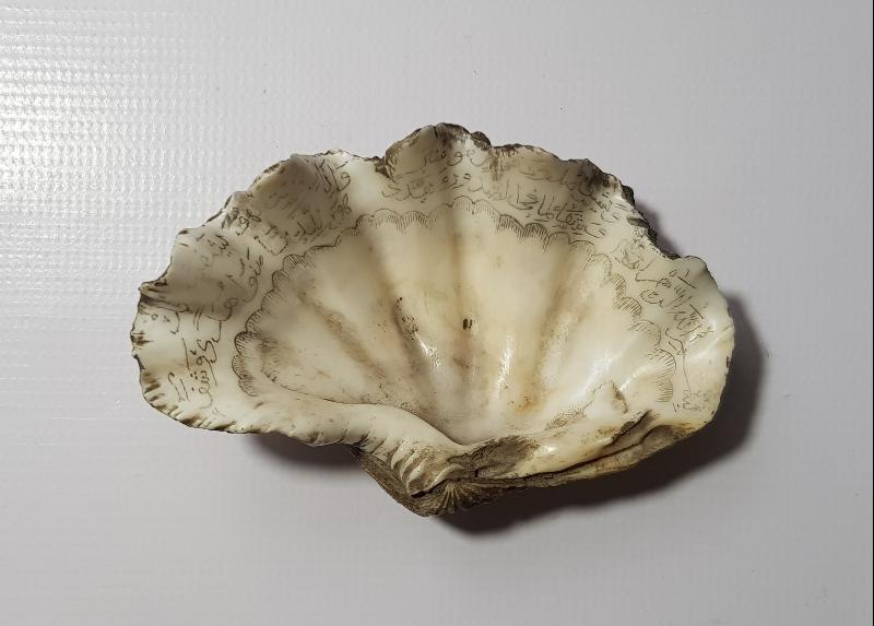 OSMANLI DÖNEMİ TILSIMLI DENİZ KABUĞU ŞİFA TASI