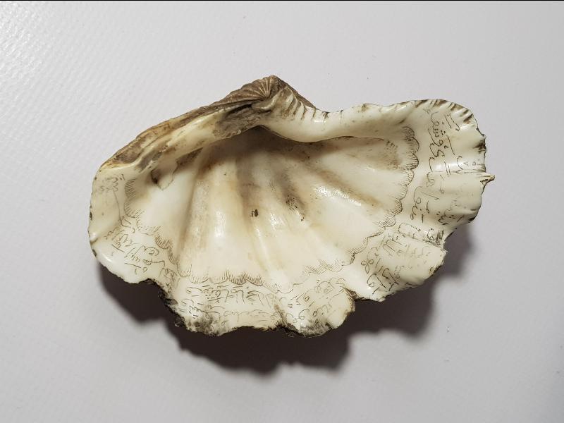 OSMANLI DÖNEMİ TILSIMLI DENİZ KABUĞU ŞİFA TASI