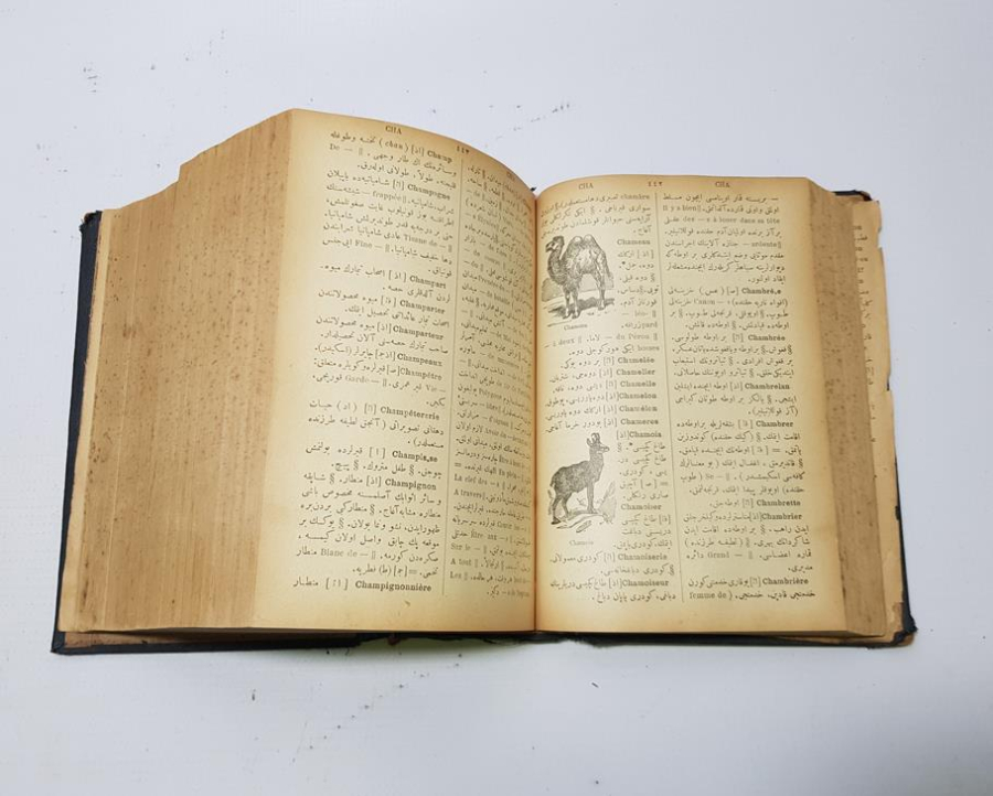 OSMANLICA FRANSIZCA 3000 GRAVÜRLÜ SÖZLÜK - ŞEMSEDDİN SAMİ BEY: KAMUSU FRANSEVİ