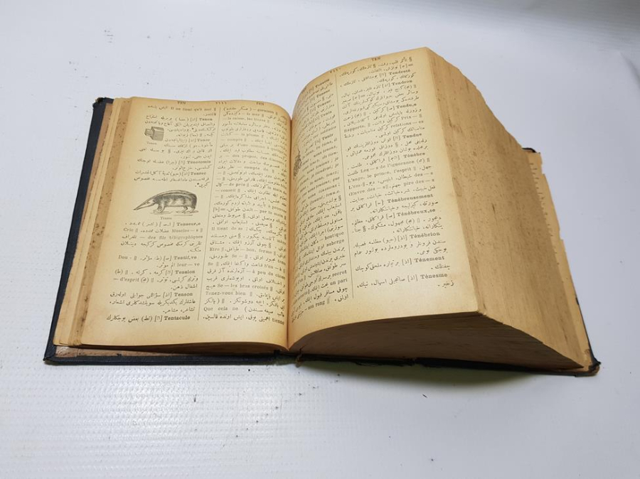 OSMANLICA FRANSIZCA 3000 GRAVÜRLÜ SÖZLÜK - ŞEMSEDDİN SAMİ BEY: KAMUSU FRANSEVİ