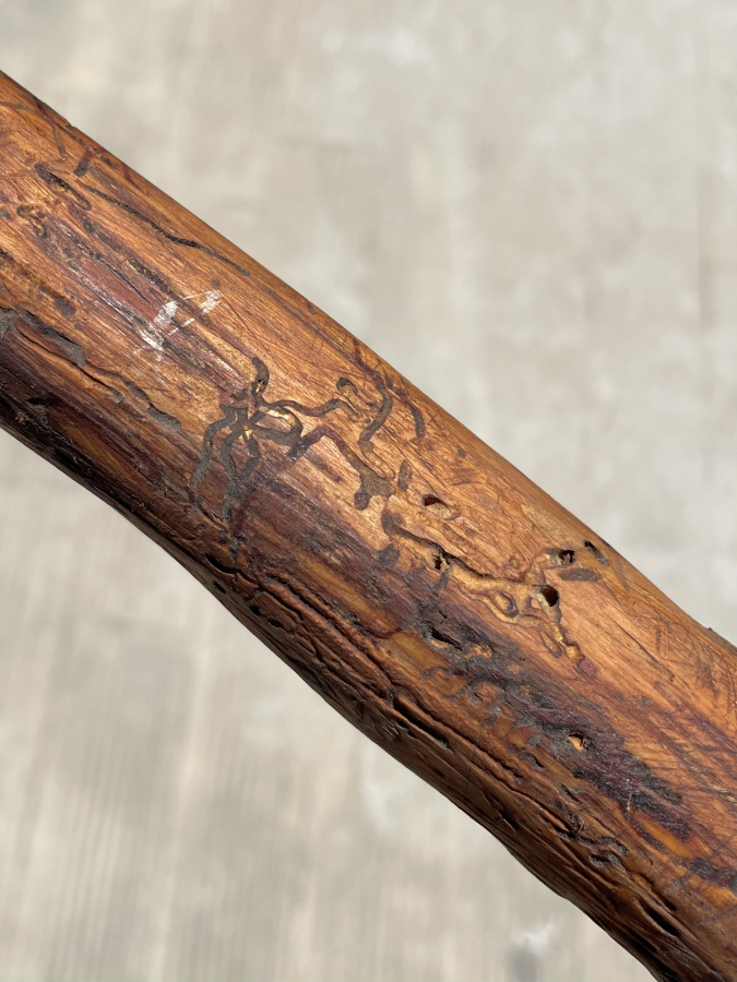 OSMANLI DÖNEMİ ÜZERİ YAZILI DERVİŞ ASASI