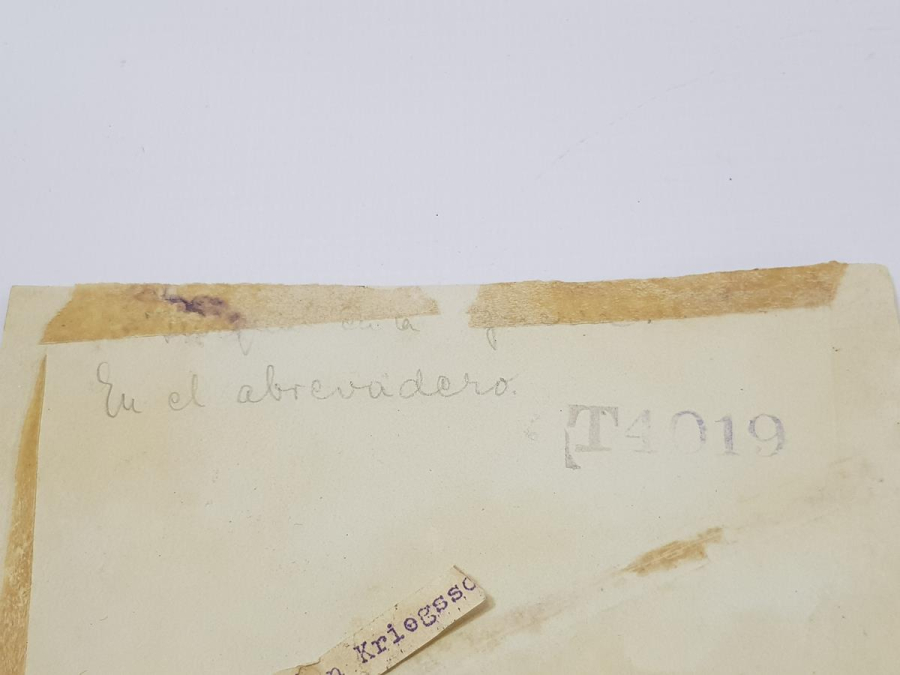 1. DÜNYA SAVAŞI ARAP ÇÖLLERİNDE TÜRK ASKERİ FOTOĞRAFI