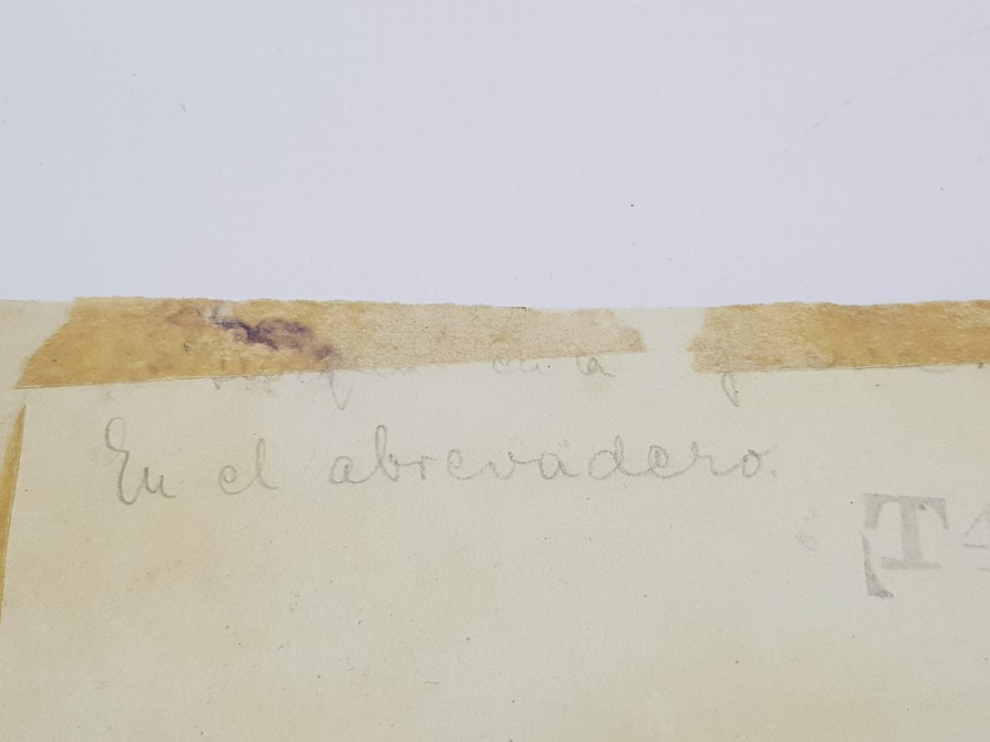 1. DÜNYA SAVAŞI ARAP ÇÖLLERİNDE TÜRK ASKERİ FOTOĞRAFI