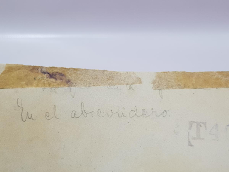 1. DÜNYA SAVAŞI ARAP ÇÖLLERİNDE TÜRK ASKERİ FOTOĞRAFI