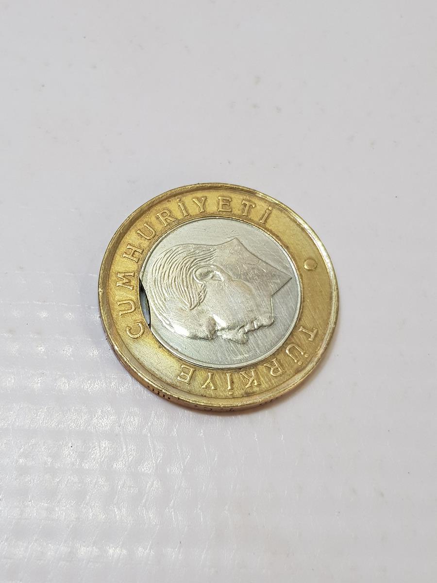 2009 ERÖRLÜ 1 LİRA MADENİ PARA