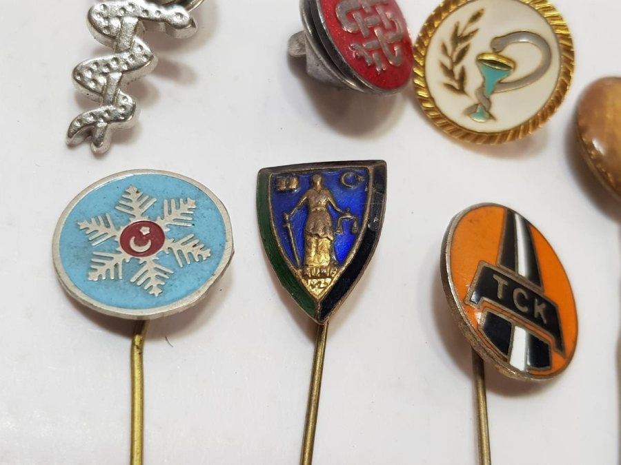 MİNELİ KURUM ROZETLERİ LOTU