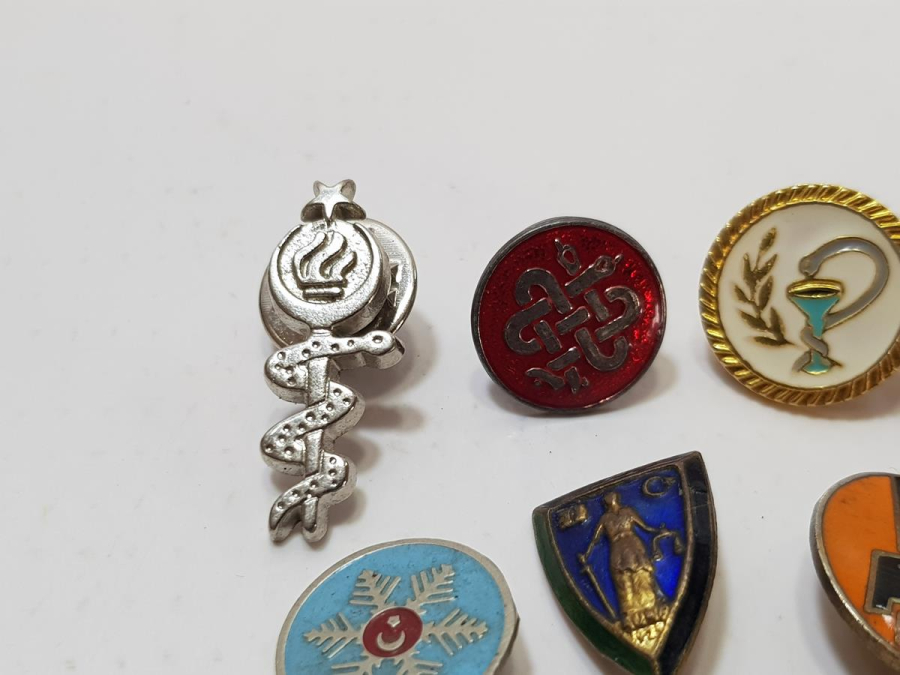 MİNELİ KURUM ROZETLERİ LOTU