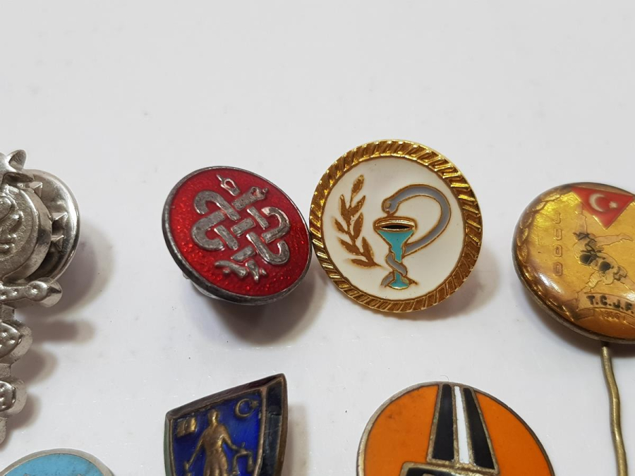 MİNELİ KURUM ROZETLERİ LOTU