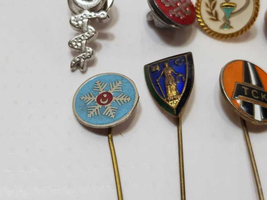 MİNELİ KURUM ROZETLERİ LOTU