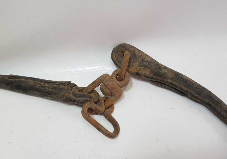 ÇANAKKALE SAVAŞI AT KOŞUM TAKIMI