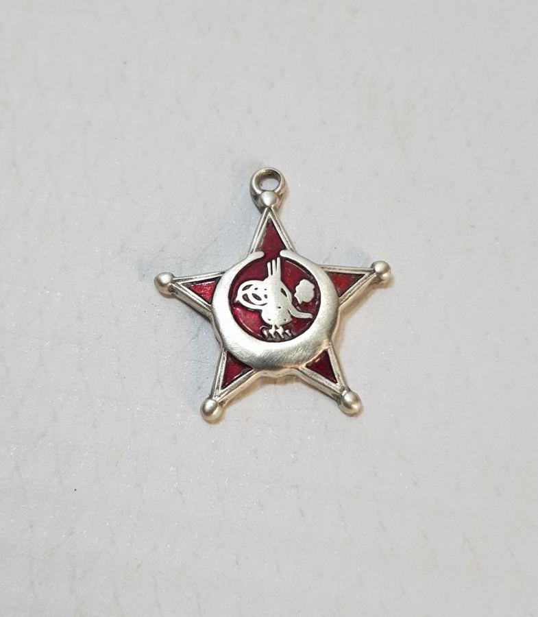 ÇOK NADİR MİNYATÜR ÇANAKKALE MADALYASI