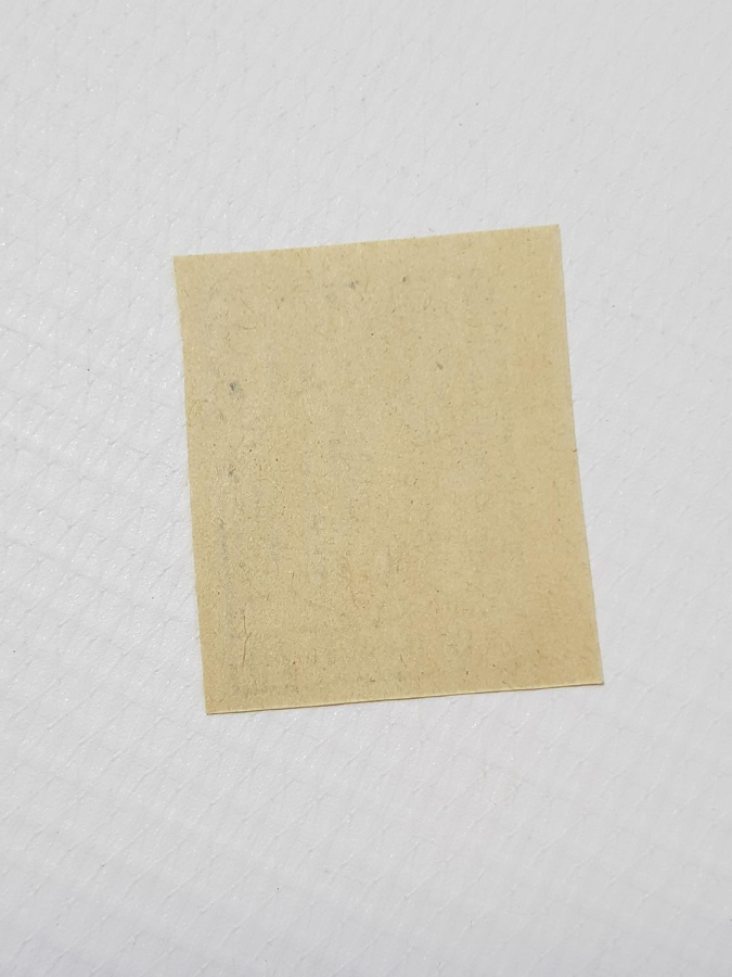 ESAT PAŞA'NIN ARNAVUTLUK DEMİR YOLLARINI YAPARKEN BASTIRDIĞI NADİR 10 PARA