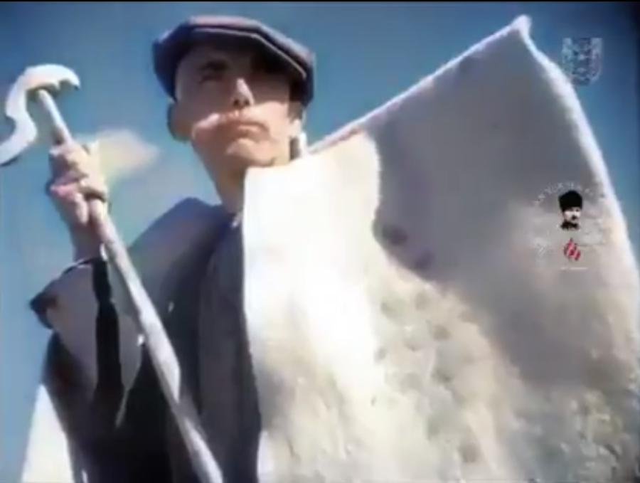 OSMANLI DÖNEMİ ÇOK NADİR ÇOBAN ASASI