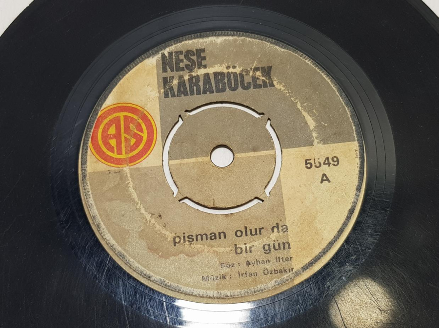 TÜRKÇE 45'LİK PLAK LOTU