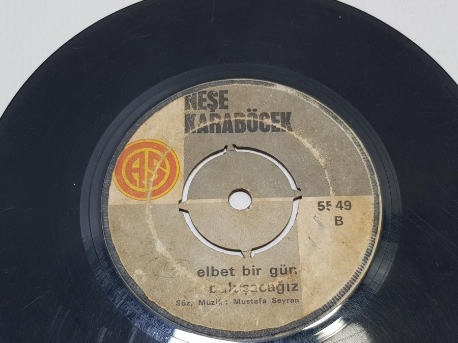 TÜRKÇE 45'LİK PLAK LOTU
