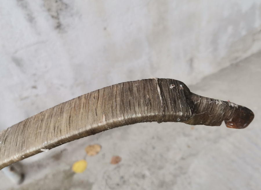 OSMANLI DÖNEMİ EL YAPIMI NADİR YAY