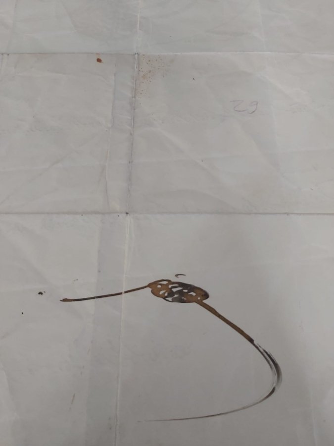 SULTAN ABDÜLHAMİT HAN DÖNEMİ MECİDİ NİŞANI BERATI