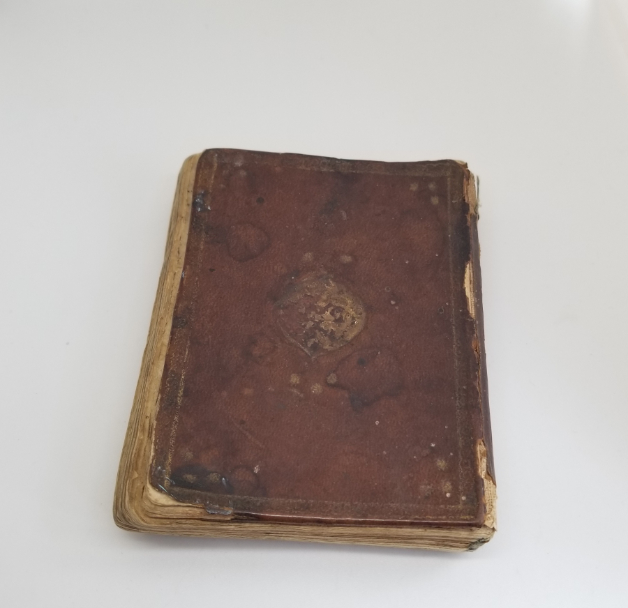 ALTIN TEZHİPLİ OSMANLI DÖNEMİ CEYLAN DERİSİ ERKEN DÖNEM ENAM-I ŞERİF