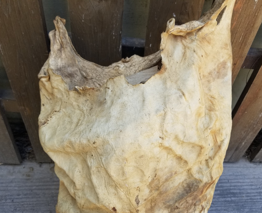 OSMANLI DÖNEMİ ÇOK NADİR DERİ SAKA KÜFESİ - SUCU KÜFESİ