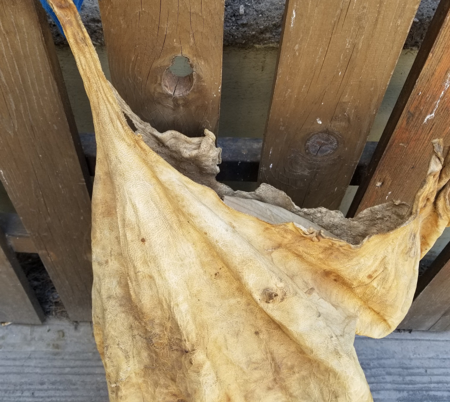 OSMANLI DÖNEMİ ÇOK NADİR DERİ SAKA KÜFESİ - SUCU KÜFESİ