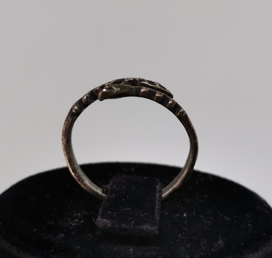 BALIK FORMUNDA YAPILMIŞ GÜMÜŞ YÜZÜK