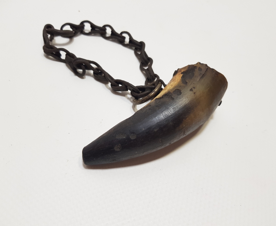 OSMANLI DÖNEMİ ORİJİNAL ZİNCİRİYLE BOYNUZ SAÇMALIK