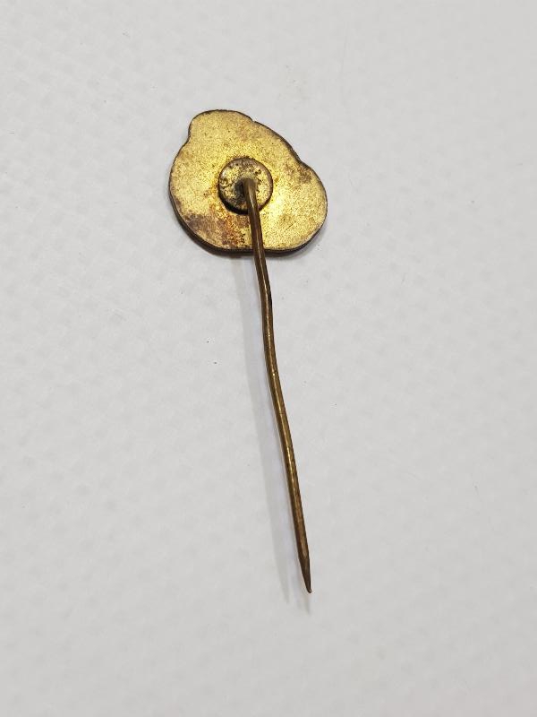 TÜRKİYE MOTOSİKLET FEDERASYONU MİNELİ ROZET