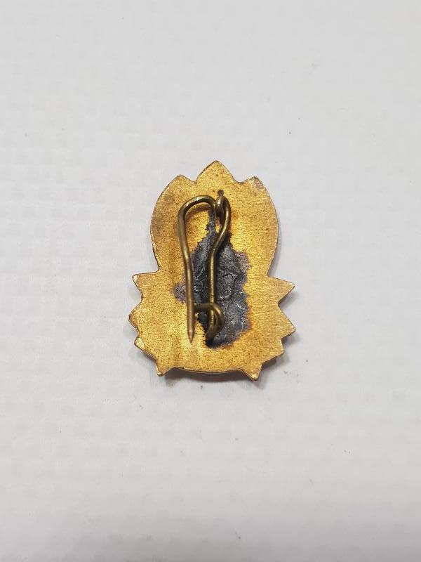 2. DÜNYA SAVAŞI MİNELİ BULGAR BRÖVE