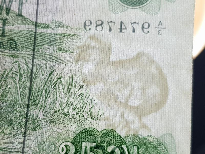 MAURITIUS 25 RUPEES ÇOK NADİR KAĞĞIT PARA