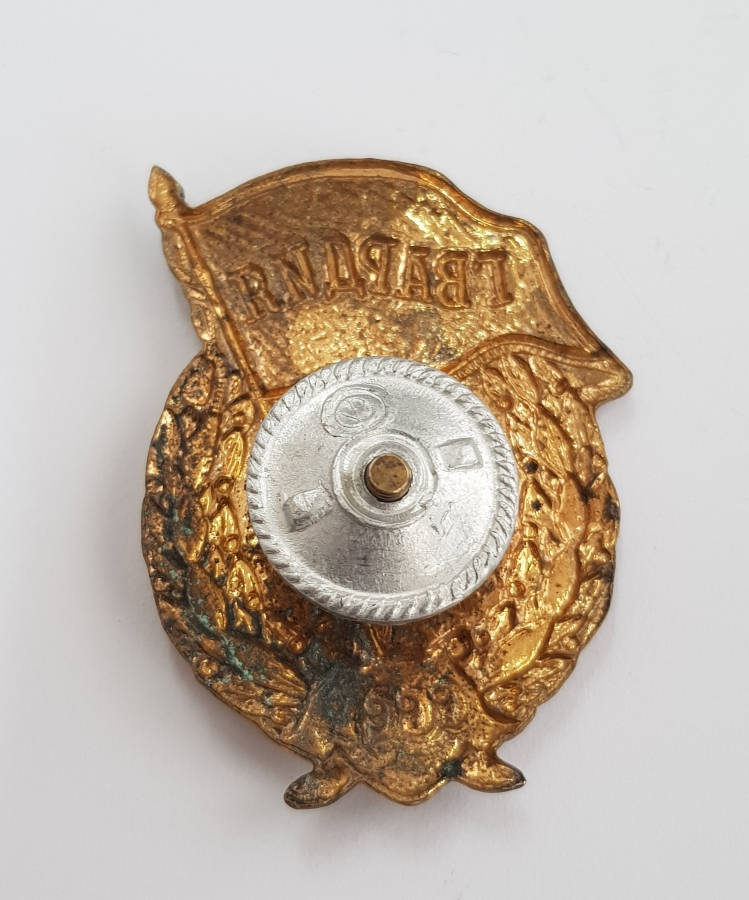 2. DÜNYA SAVAŞI SOVYET RUSYA ASKERİ MUHAFIZ BİRLİĞİ BRÖVESİ