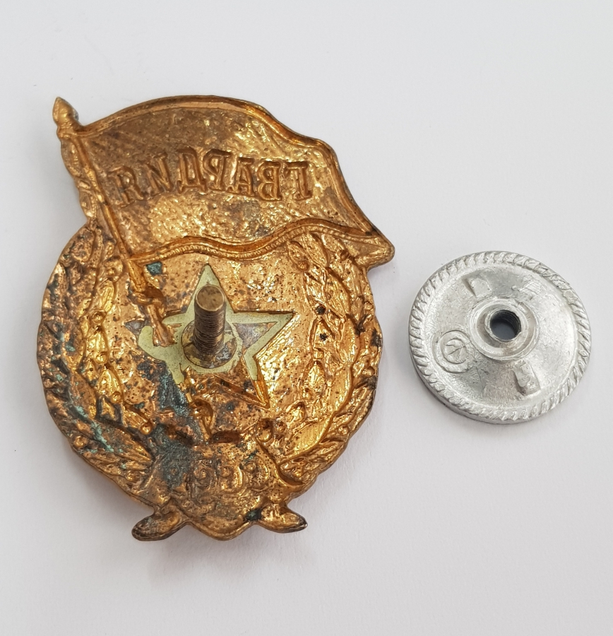 2. DÜNYA SAVAŞI SOVYET RUSYA ASKERİ MUHAFIZ BİRLİĞİ BRÖVESİ