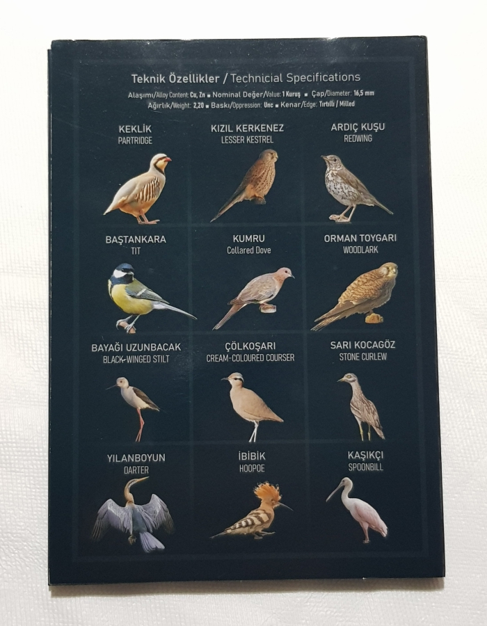 2021 ANADOLUYA ÖZGÜ KUŞLAR HATIRA PARA SETİ