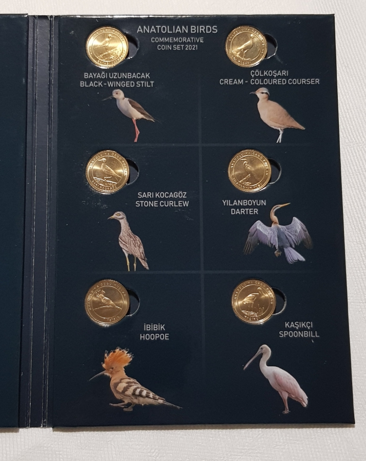 2021 ANADOLUYA ÖZGÜ KUŞLAR HATIRA PARA SETİ