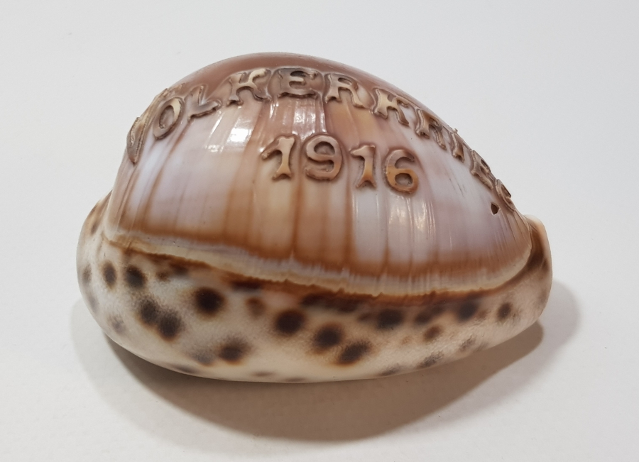 1. DÜNYA SAVAŞI 1916 BÜYÜK SAVAŞ YAZILI ÇOK NADİR DENİZ KABUĞU