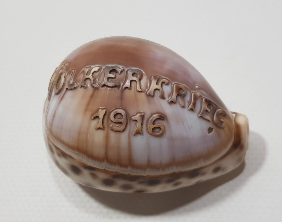1. DÜNYA SAVAŞI 1916 BÜYÜK SAVAŞ YAZILI ÇOK NADİR DENİZ KABUĞU