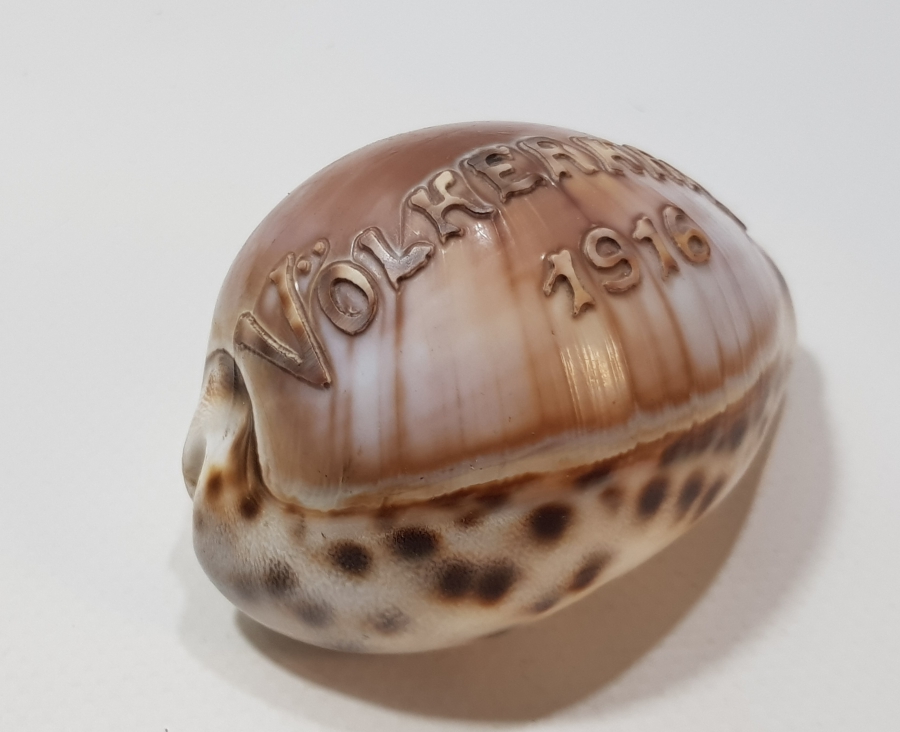 1. DÜNYA SAVAŞI 1916 BÜYÜK SAVAŞ YAZILI ÇOK NADİR DENİZ KABUĞU