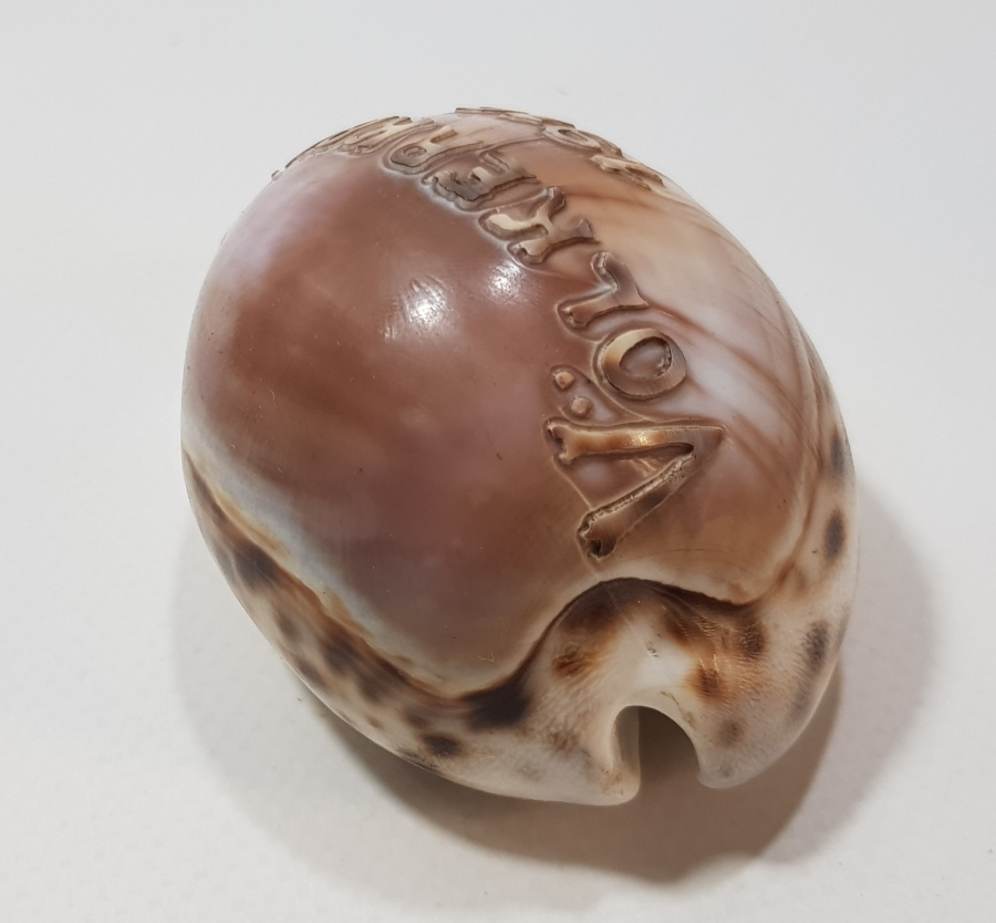 1. DÜNYA SAVAŞI 1916 BÜYÜK SAVAŞ YAZILI ÇOK NADİR DENİZ KABUĞU