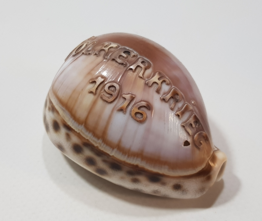 1. DÜNYA SAVAŞI 1916 BÜYÜK SAVAŞ YAZILI ÇOK NADİR DENİZ KABUĞU