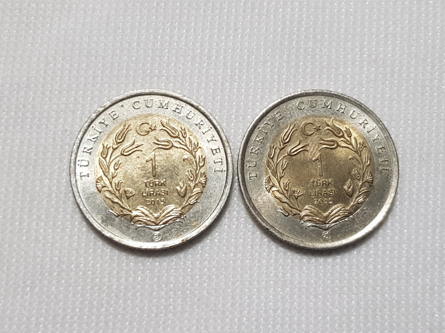 2015 ANADOLU YABAN KOYUNU VE ANKARA KEDİSİ BİMETAL 1 LİRA HATIRA PARA